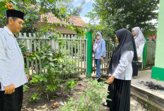 Dukung Ketahanan Pangan, KUA Cambai Prabumulih Manfaatkan Lahan Kantor Tanam Buah dan Sayur