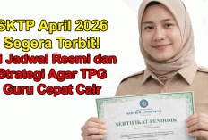 SKTP April 2026 Segera Terbit! Ini Jadwal Resmi dan Strategi Agar TPG Guru Cepat Cair