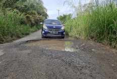 Jalan Rusak Parah Hambat Ekonomi Warga Dua Desa di Musi Rawas