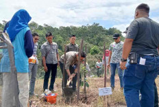  Tanam Pohon Produktif, Lindungi Daerah Aliran Sungai 