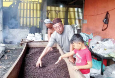 Gunakan Kayu Pelawan, Rasa dan Aroma Kopi Sesuai Selera Konsumen