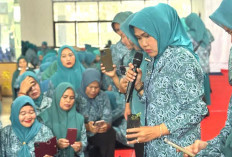 Sulap Halaman Jadi Sumber Sayur Organik