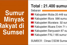 Sumur Minyak di Sumsel Terbanyak, Total yang Dilaporkan ke Kementerian ESDM 21.400 Titik
