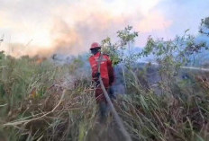 6 Hektare Lahan Gambut di Tulung Selapan Ilir Masih Terbakar, Tim Gabungan Terus Lakukan Pemadaman