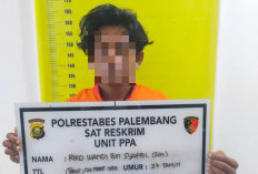 Gegara Persoalan BPKB Motor, Pria di Palembang Diduga Aniaya Istri hingga Terluka, Kini Diamankan Polisi