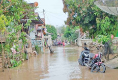 Lima Kecamatan Terdampak Banjir 