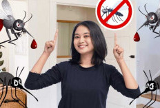 Cara Efektif Usir Nyamuk di Rumah: Tanaman dan Bahan Alami yang Wajib Anda Coba