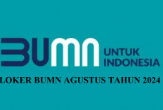 Loker Besar-Besaran BUMN Agustus 2024, PT Freeport, Pertamina dan PT KAI Wisata Cari Karyawan SMA dan S1