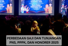 Inilah Daftar Gaji dan Tunjangan yang Bakal Diterima PNS PPPK, dan Honorer Pada 2025