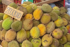 10 Kuliner yang Bisa Dibuat dengan Olahan Durian,  Dijamin Buat Ngiler, Cobain Yuk!