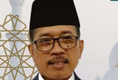 Ajukan Proposal, Petani Banyuasin Dapat Pestisida Gratis