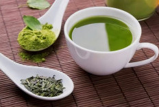 Studi Terbaru, Minum Teh Hijau Rutin Bisa Pangkas Risiko Demensia hingga 20 Persen