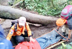   Alami Hipotermia dan Cedera, Alhamdulillah Tiga Pendaki Berhasil Dievakuasi dari Gunung Dempo