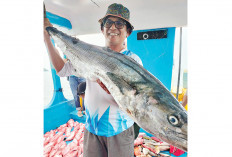 Biasa Melaut, Komunitas Asperindo Mancing Gembira Siap Kuras Patin Danau JSC, Semarakkan Lomba Mancing Sumeks