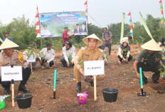 Tingkatkan Produktivitas Kopi 