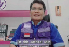 Strategi Menuju Swasembada Ternak di Sumsel, Ini Kata Dr.drh Jafrizal!