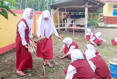 Hijaukan Sekolah dengan Tanaman Singkong