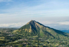 5 Gunung di Indonesia yang Cocok Untuk Pendaki Pemula. Ada yang Satu Jam Sudah Sampai Puncak