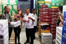 Jangkau Konsumen Sumatera, SKI Buka Cabang dan Cold Storage di Palembang