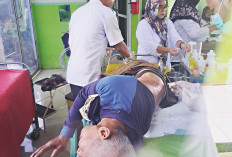  Lagi, Insiden Serangan Beruang Kembali Menimpa Warga di Musi Rawas