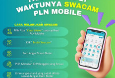 Waktunya Swacam! Pelanggan PLN Bisa Catat Stand Meter Sendiri Lewat Aplikasi PLN Mobile
