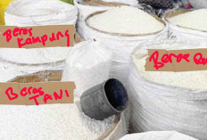 Harga Bahan Pokok di Sumatera Selatan Melonjak Signifikan, Pemerintah Bergerak Cepat