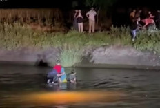 Mobil Tergelincir ke Irigasi di OKU Timur, Video Evakuasi Jadi Viral