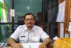 Ketersediaan Hewan Kurban OKI Cukup, Terbanyak Sapi 2.802 Ekor 