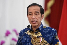 Jokowi Berlakukan Pajak Pekerja Mulai 1 Januari 2024, Begini Perhitungannya