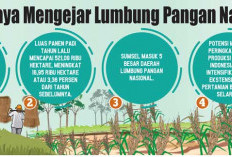 Sumsel Bisa Juara 1 Lumbung Pangan Nasional, Jika Semua Daerah Mampu IP200