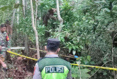 2 Warga Desa Meranti Ditemukan Tewas Mengenaskan, Polisi Temukan Barang Ini di TKP! 