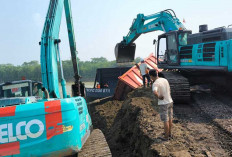 Pasca Dump Truck Bermuatan Batubara Tergelincir, Aktivitas Pelabuhan SDJ Kembali Normal