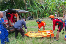 Jasad Korban Kecelakaan Speedboat Ditemukan Mengapung 33 Kilometer dari Lokasi Awal, Operasi SAR Resmi Ditutup