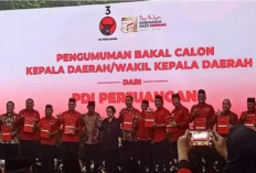 PDIP Umumkan 13 Nama Calon Gubernur Gelombang Pertama, Belum Ada dari Sumsel 