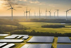 Terbongkar! Bisnis Energi Terbarukan + AI 2025, Peluang Cuans Raksasa Sekaligus Penyelamat Lingkungan!