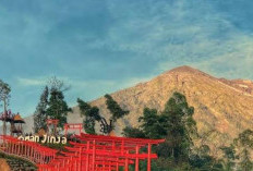 Liburan Adem di Bali: Taman Jinja, Bedugul, Munduk, dan Kintamani