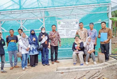 Sebagai Tempat Produksi dan Pusat Pelatihan Warga, Pembangunan Green House 