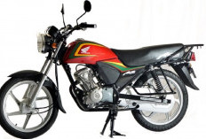 Honda Ace 125 Resmi Diluncurkan, Hadirkan Aura GL-Max dalam Balutan Desain Modern