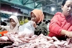 Jelang Ramadan, Harga Ayam di Lahat Naik Jadi Rp36 Ribu per Kg