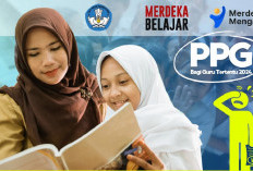 Info Penting PPG Guru Tertentu: Jumlah Peserta Lulus UKPPPG Tak Capai 100%, 10 Hal Ini jadi Penyebabnya