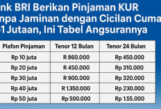 Bank BRI Berikan Pinjaman KUR Tanpa Jaminan dengan Cicilan Cuma Rp1 Jutaan, Ini Tabel Angsurannya