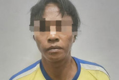 4 Tahun Buron, Pelaku Pemerkosaan dan Perampokan Dibekuk Polisi
