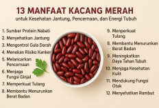 13 Manfaat Kacang Merah untuk Jantung, Pencernaan, dan Energi Tubuh