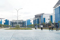  UIN Raden Fatah 10 Besar PTKIN, Belum Masuk Top 100 Secara Nasional Versi Webometrics