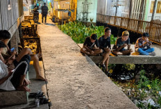 Mabar Free Fire, Fatur dan Ian Andalkan Internet Tri untuk Aktivitas Digital