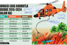 TNI AU Dukung Water Bombing hingga OMC