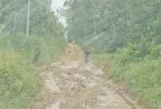 Kondisi Jalan di Cengal OKI saat Musim Hujan Berlumpur, bak Kubangan Kerbau 