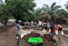 Budidaya Ternak Sapi hingga Bantu UMKM Keripik Tempe