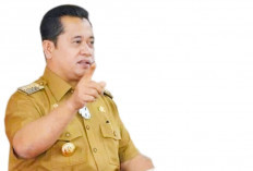 Banyuasin Pastikan Support Penuh, Optimis Dampak Positif Adanya Pelabuhan di Tanjung Carat