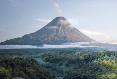 Aktivitas Vulkanik Gunung Semeru Masih Tinggi, Masyarakat Diminta Waspadai Jarak Aman